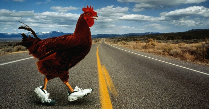 Speel Chicken Road in ons Nederlandse online casino en gokkast